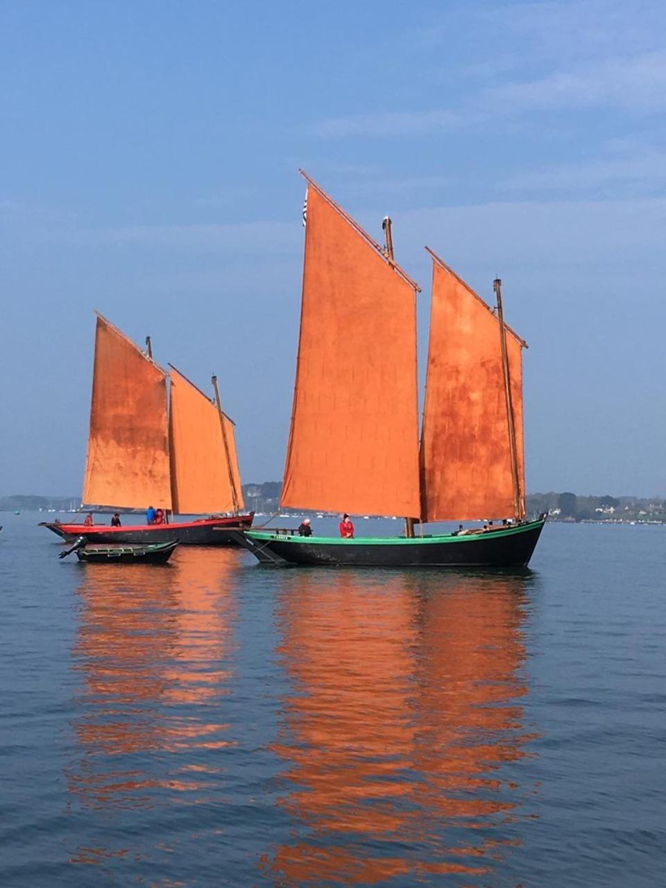 1 2 3 Chambres Entre La Presqu Ile De Rhuys Et Le Golfe Du Morbihan Theix Bagian luar foto